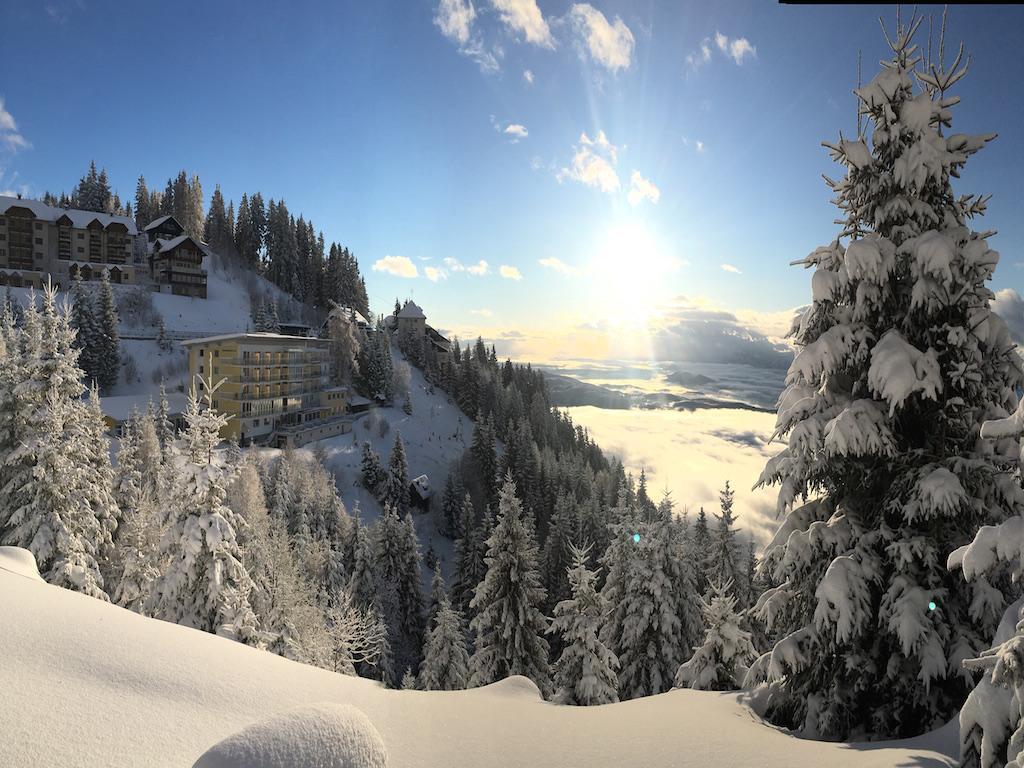 טרפן Sonnenhotel Zaubek מראה חיצוני תמונה